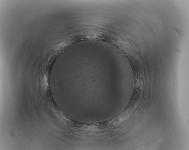 X0000111861106200907301125