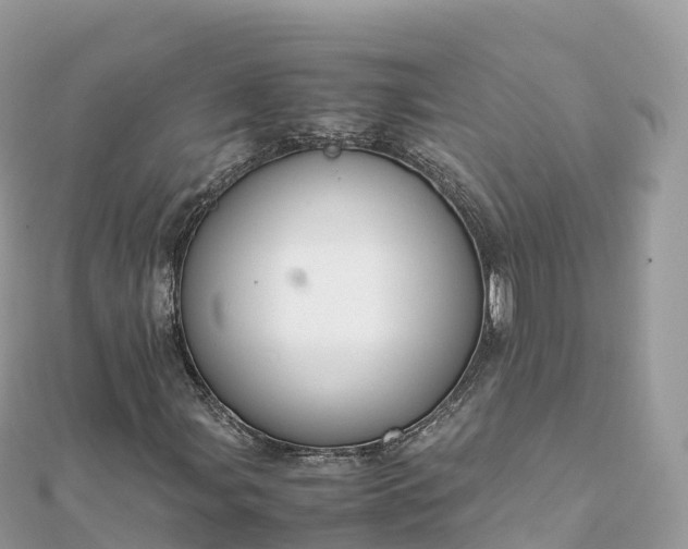 X0000111861107200907301125