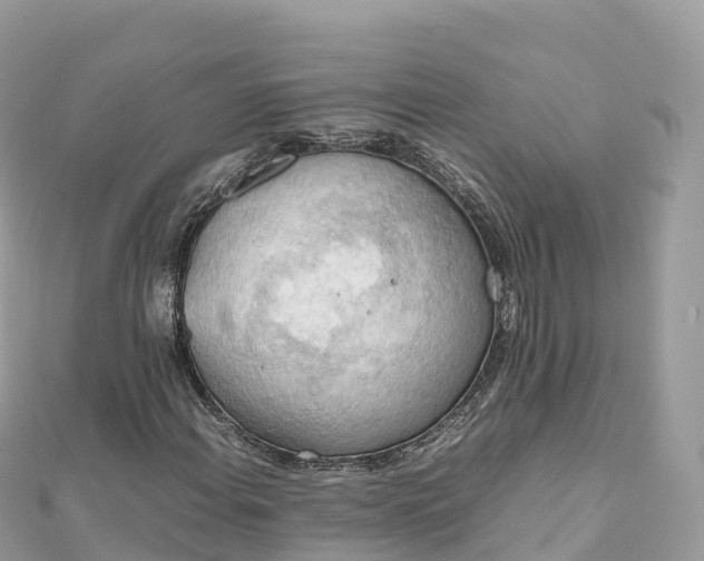 X0000111861108200907301125