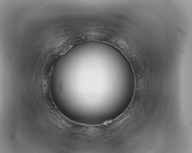 X0000111861109200907301125