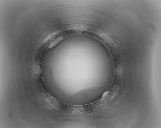 X0000111861110200907301125