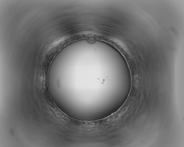 X0000111861111200907301125