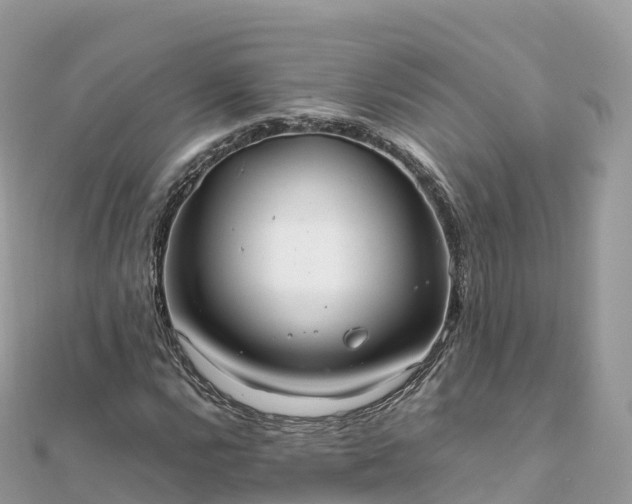 X0000111861112200907301125