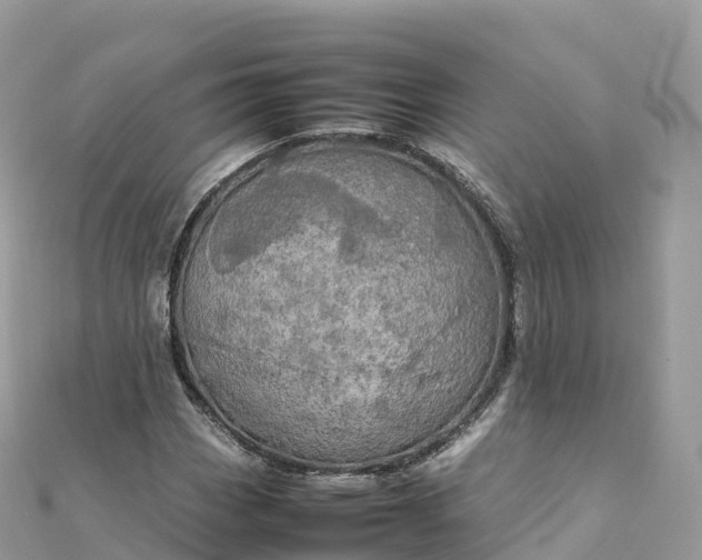 X0000111861113200907301125