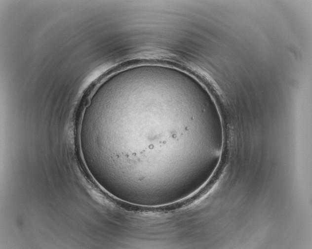 X0000111861114200907301125