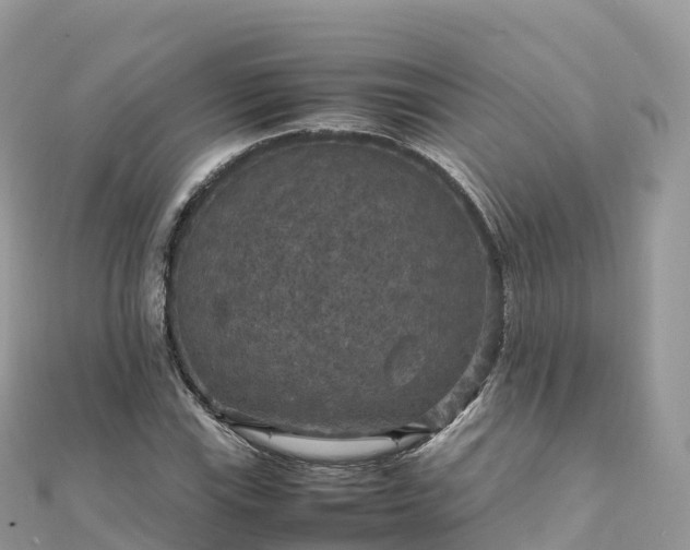 X0000111861115200907301125