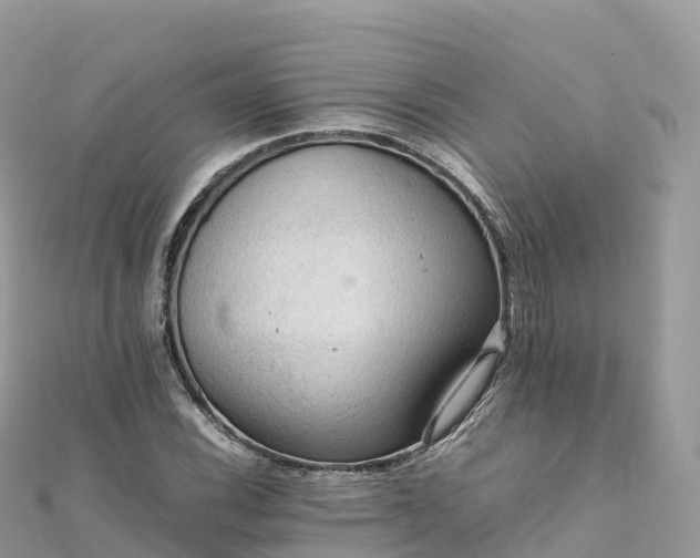 X0000111861116200907301125