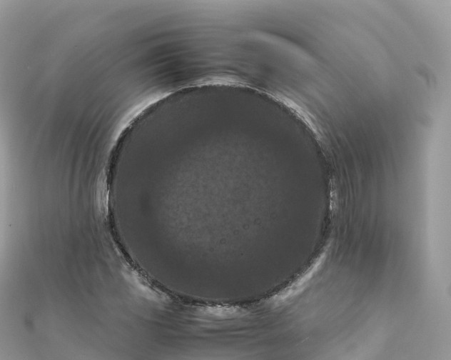 X0000111861117200907301125