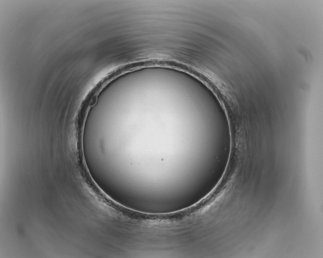 X0000111861118200907301125