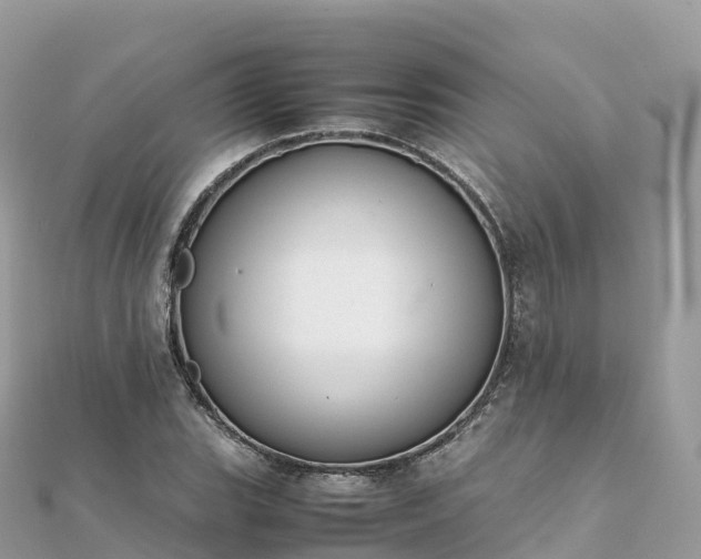 X0000111861119200907301125