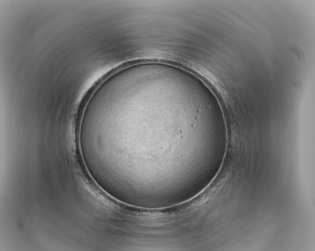 X0000111861120200907301125