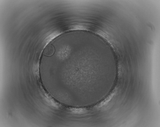 X0000111861121200907301125