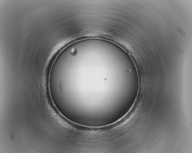 X0000111861122200907301125