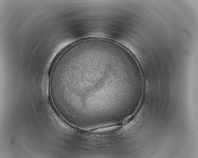 X0000111861123200907301125