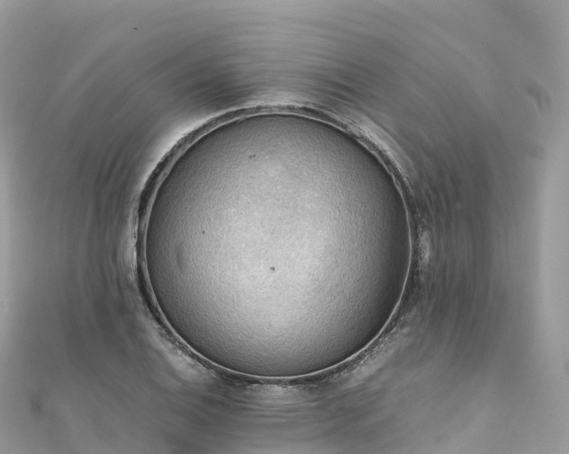 X0000111861124200907301125