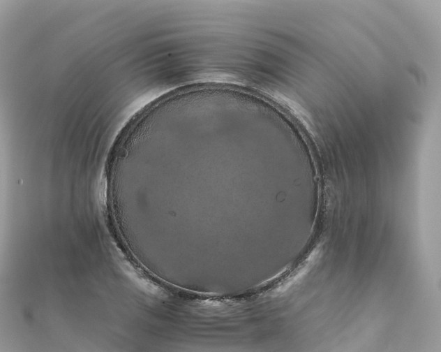 X0000111861125200907301126