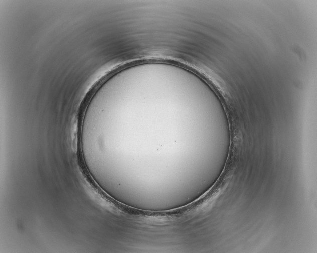 X0000111861126200907301126