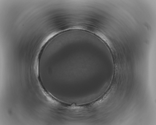 X0000111861127200907301126