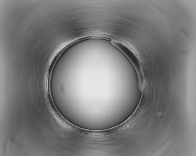 X0000111861128200907301126