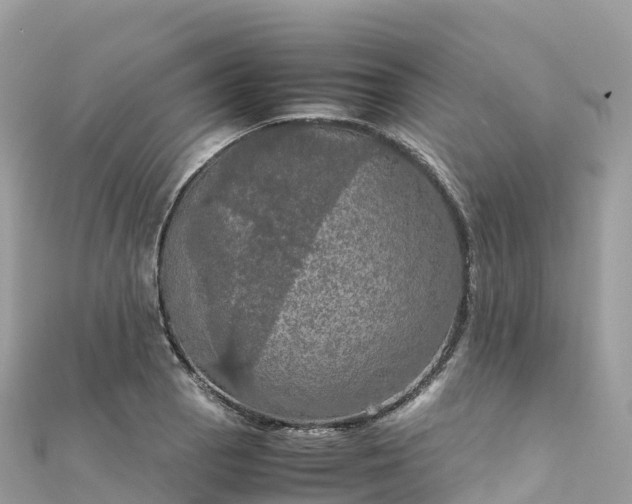 X0000111861129200907301126