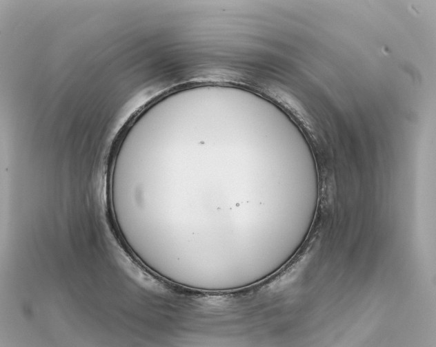 X0000111861130200907301126