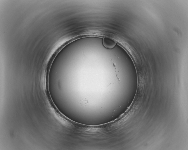 X0000111861131200907301126