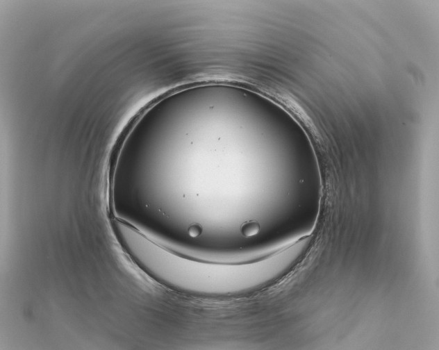 X0000111861132200907301126