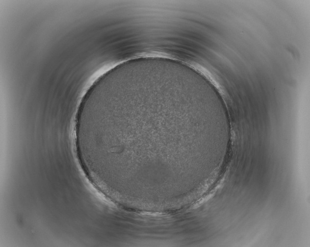 X0000111861133200907301126