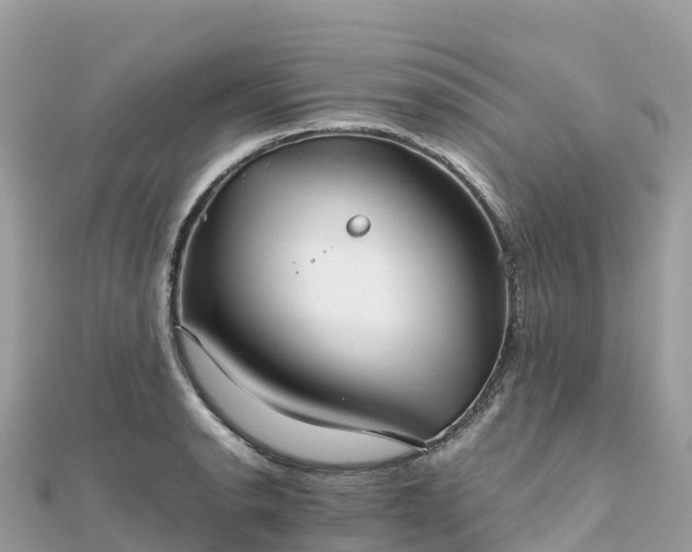 X0000111861134200907301126