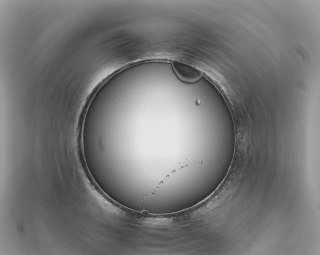 X0000111861135200907301126