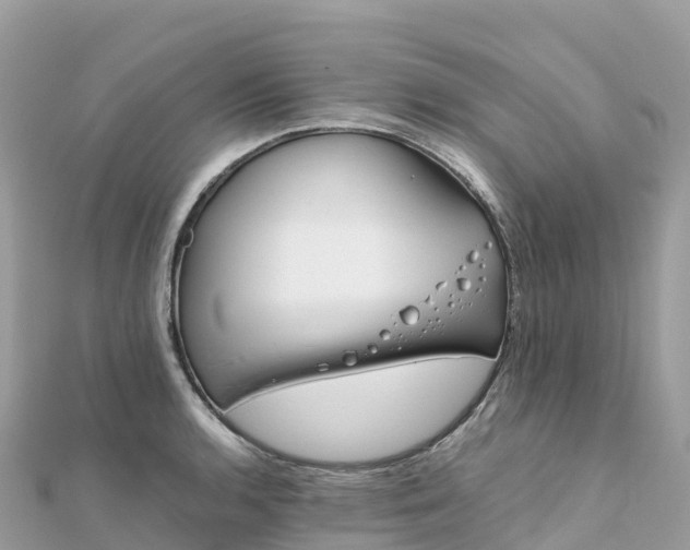 X0000111861136200907301126