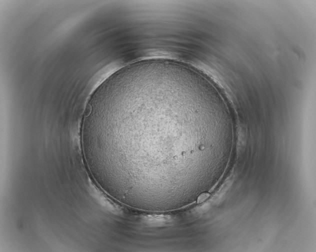 X0000111861137200907301126