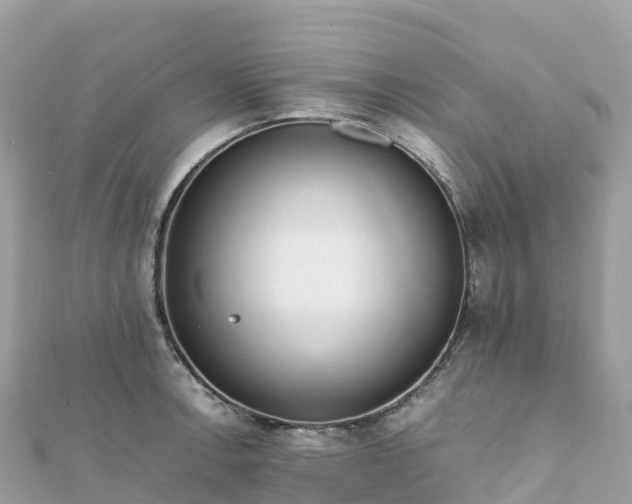 X0000111861138200907301126