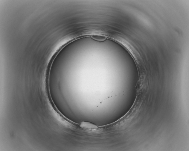 X0000111861139200907301126