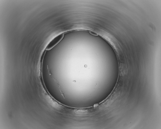 X0000111861140200907301126