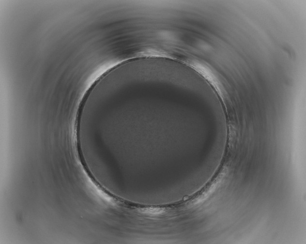 X0000111861141200907301126