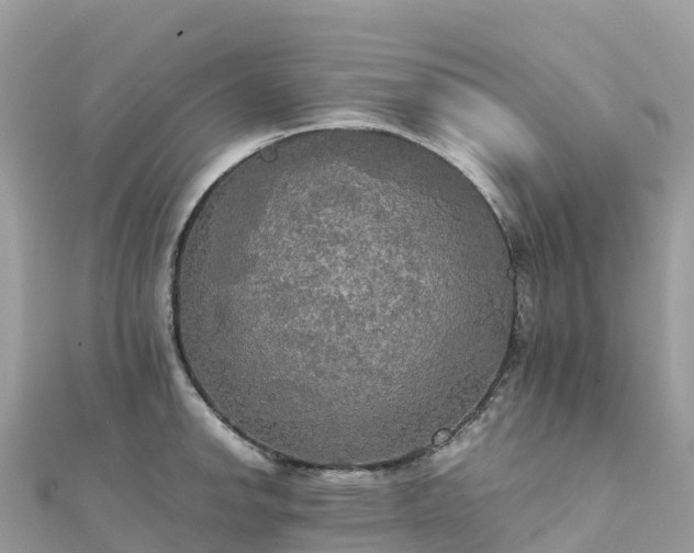 X0000111861142200907301126