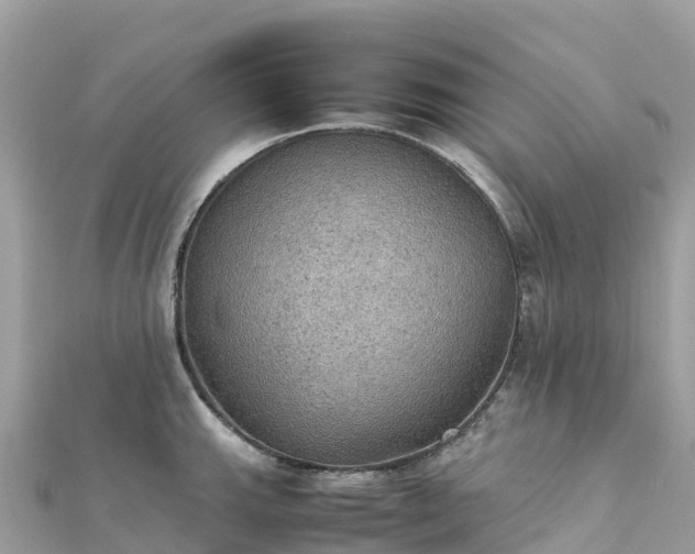 X0000111861143200907301126