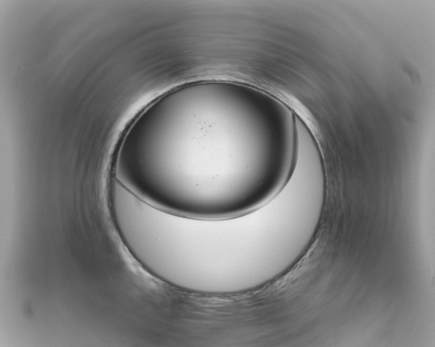 X0000111861144200907301126