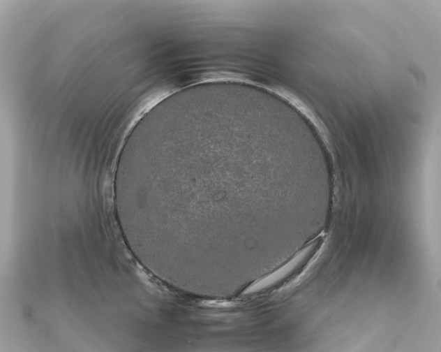 X0000111861145200907301126