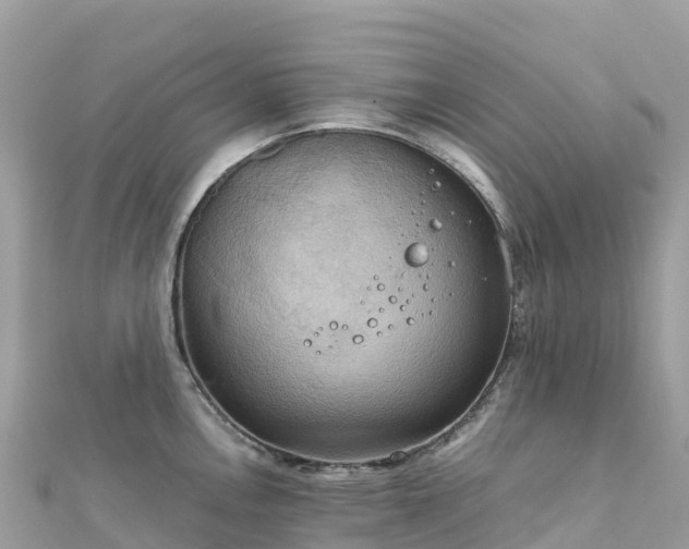 X0000111861146200907301126