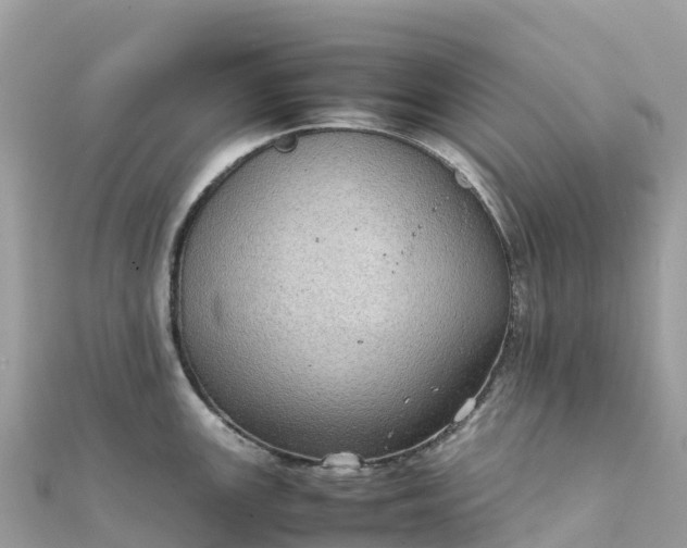 X0000111861147200907301126