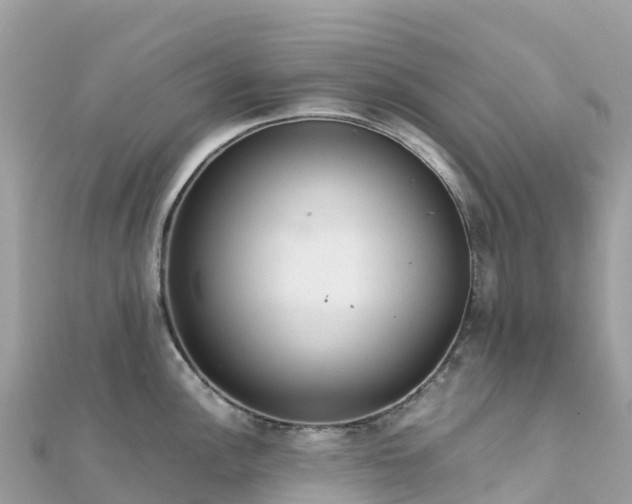 X0000111861148200907301126