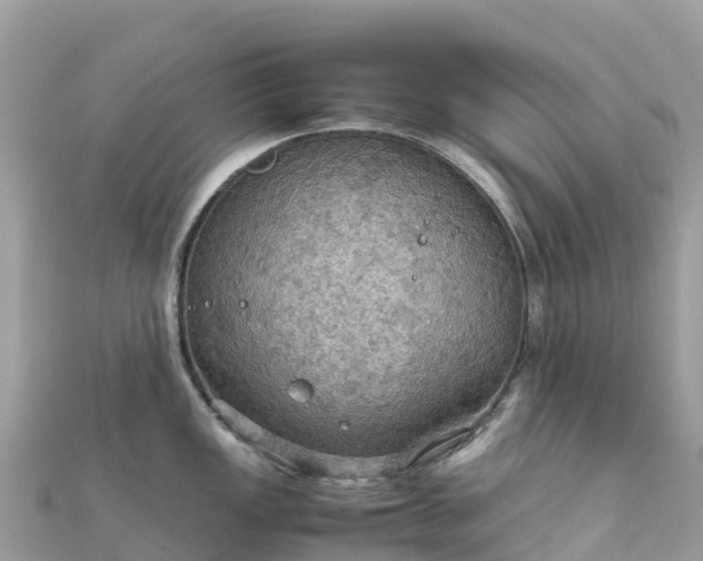 X0000111861149200907301126