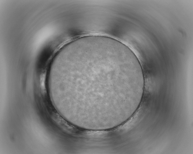 X0000111861150200907301126