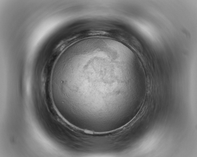 X0000111861151200907301126