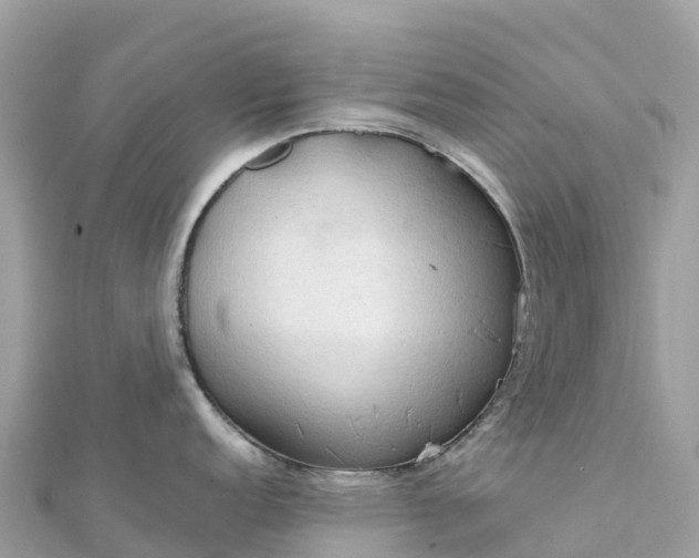 X0000111861152200907301126