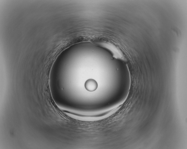 X0000111861153200907301125