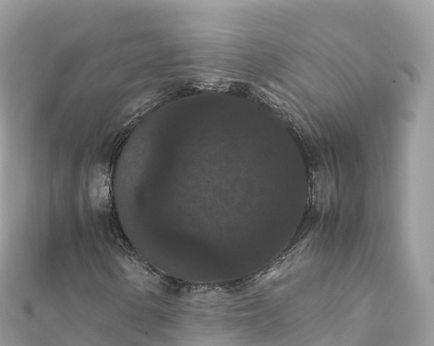 X0000111861154200907301125