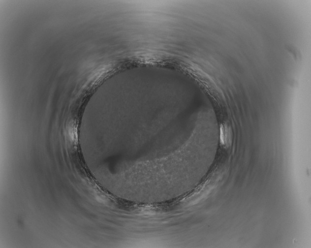 X0000111861155200907301125